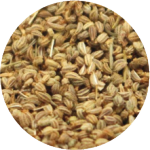 Ajwain